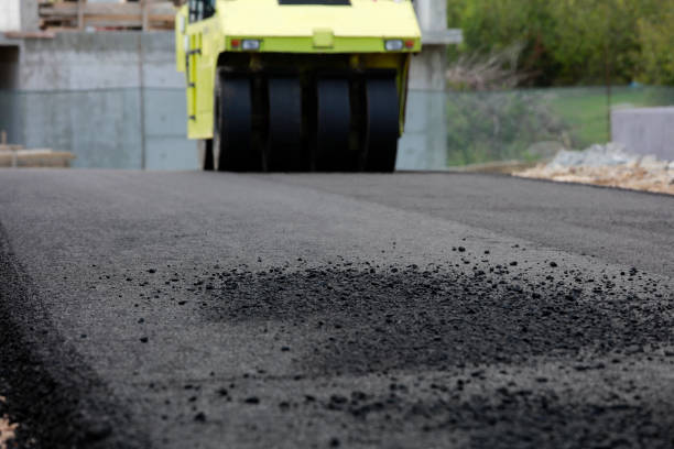 Best Custom Driveway Pavers  in Ave Maria, FL