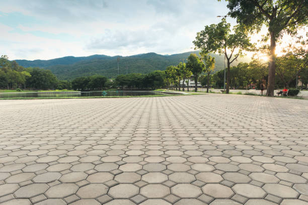 Best Driveway Pavers Near Me  in Ave Maria, FL